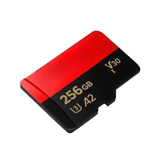 Tarjeta memoria TF 256GB